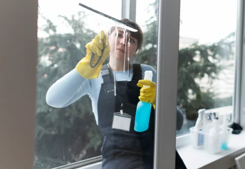 Nettoyage de vitres intérieures et extérieures à Nassiet